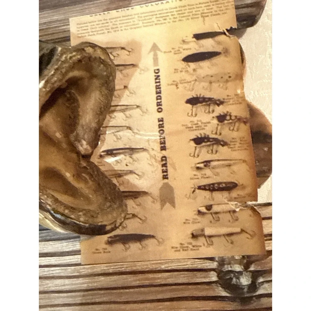 Mount of a smallmouth bass (Micropterus‎ dolomieu) Wood Base coat Hanger